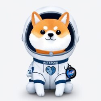 1,000 Asteroid Shiba (ASTEROID) MINING-CONTRACT Crypto Currency (ASTEROID)